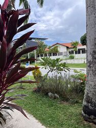 Loyang Villas (D17), Terrace #488142491